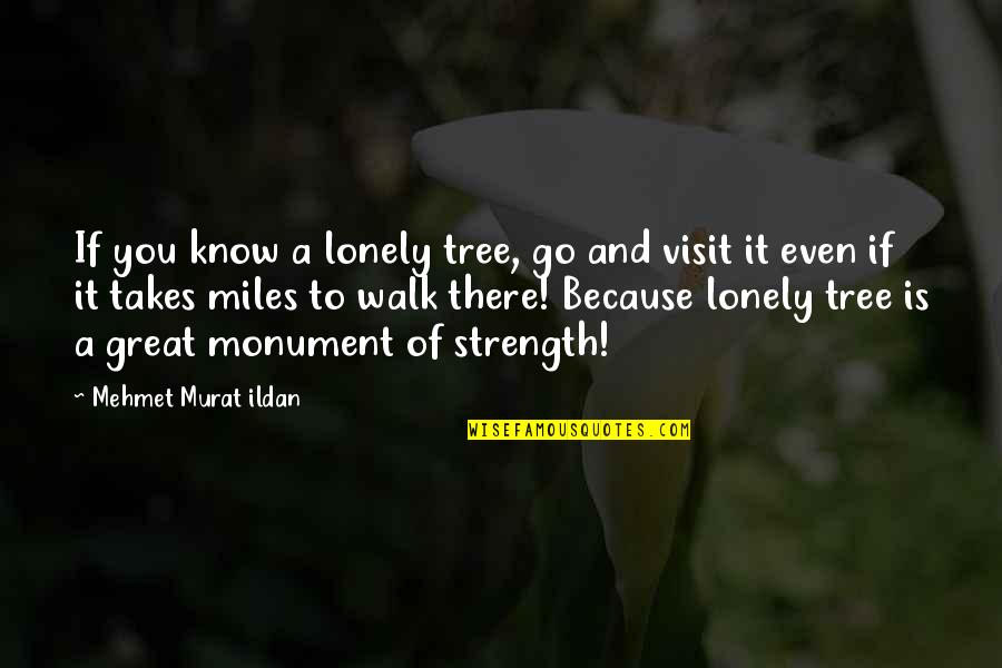 Kunihito Iida Quotes By Mehmet Murat Ildan: If you know a lonely tree, go and