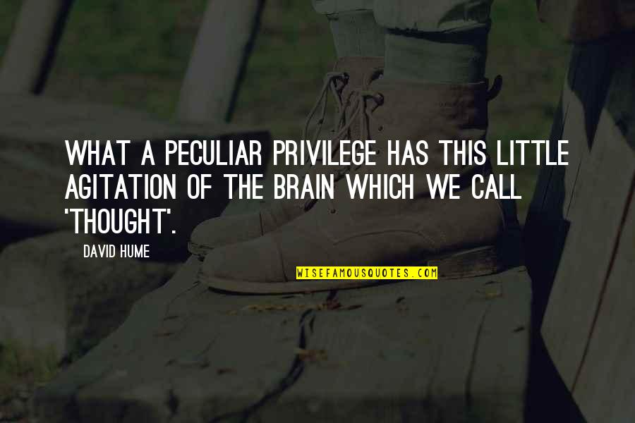 Kunitsuna Quotes By David Hume: What a peculiar privilege has this little agitation