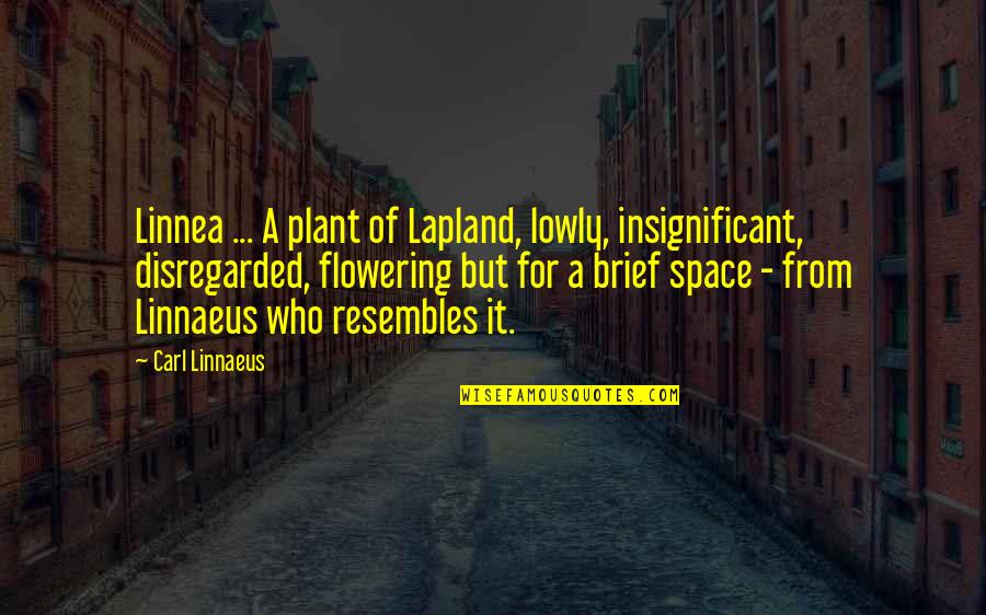 Kunkka Quotes By Carl Linnaeus: Linnea ... A plant of Lapland, lowly, insignificant,