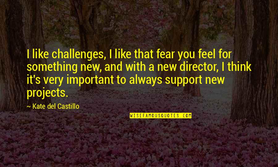 Kunle Elebute Quotes By Kate Del Castillo: I like challenges, I like that fear you