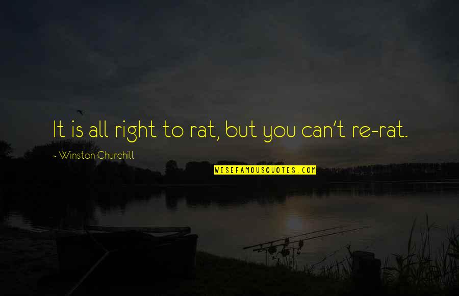 Kuntzleman Video Quotes By Winston Churchill: It is all right to rat, but you