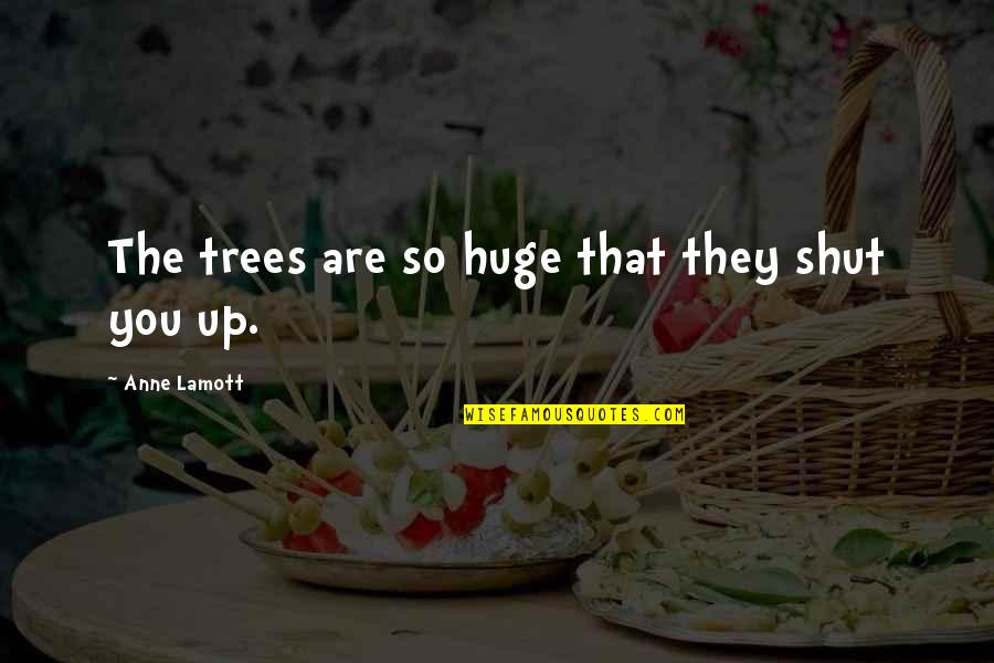 Kuolinilmoitukset Quotes By Anne Lamott: The trees are so huge that they shut Kuolinilmoitukset Quotes By Anne Lamott: The trees are so huge that they shut