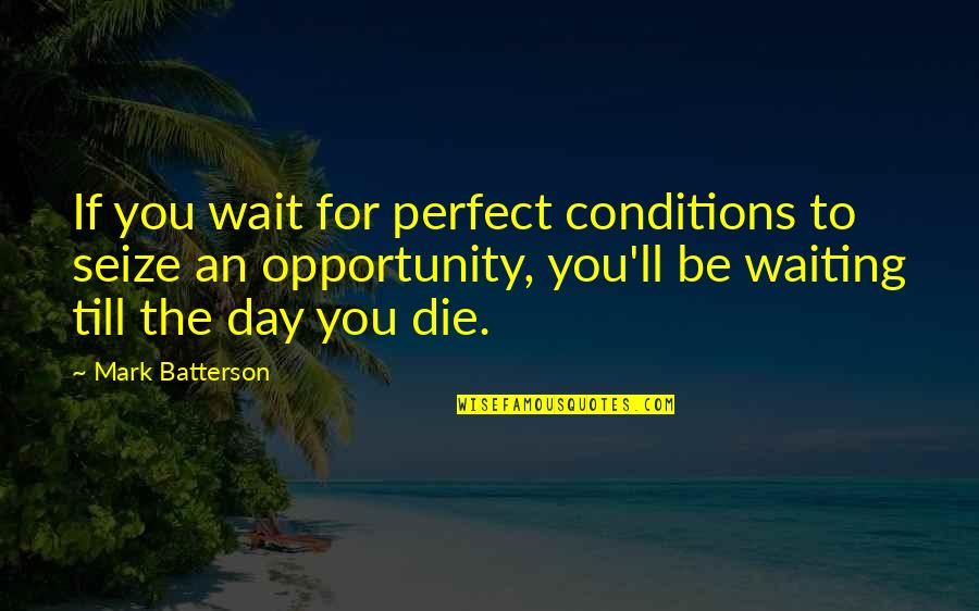 Kupferzell Quotes By Mark Batterson: If you wait for perfect conditions to seize Kupferzell Quotes By Mark Batterson: If you wait for perfect conditions to seize