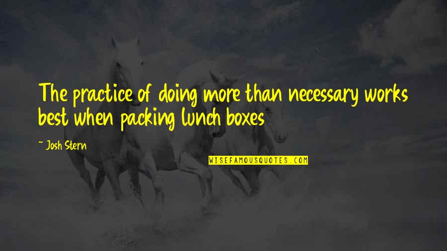 Kupiec Rice Quotes By Josh Stern: The practice of doing more than necessary works