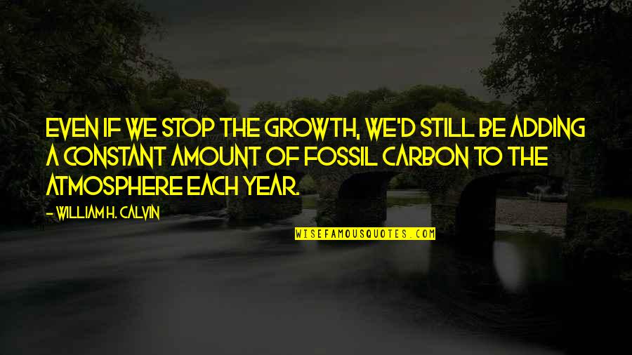 Kuppusamy Song Quotes By William H. Calvin: Even if we stop the growth, we'd still