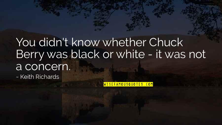 Kurikulum 2013 Quotes By Keith Richards: You didn't know whether Chuck Berry was black