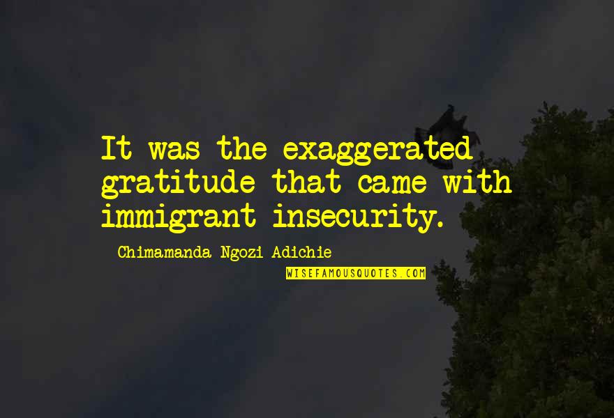 Kurinomi Quotes By Chimamanda Ngozi Adichie: It was the exaggerated gratitude that came with