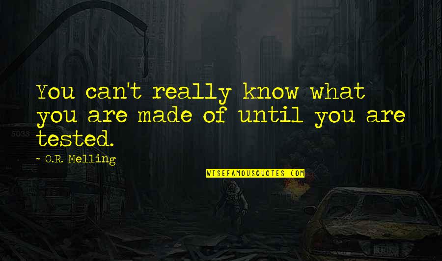 Kuriose Feiertage Quotes By O.R. Melling: You can't really know what you are made