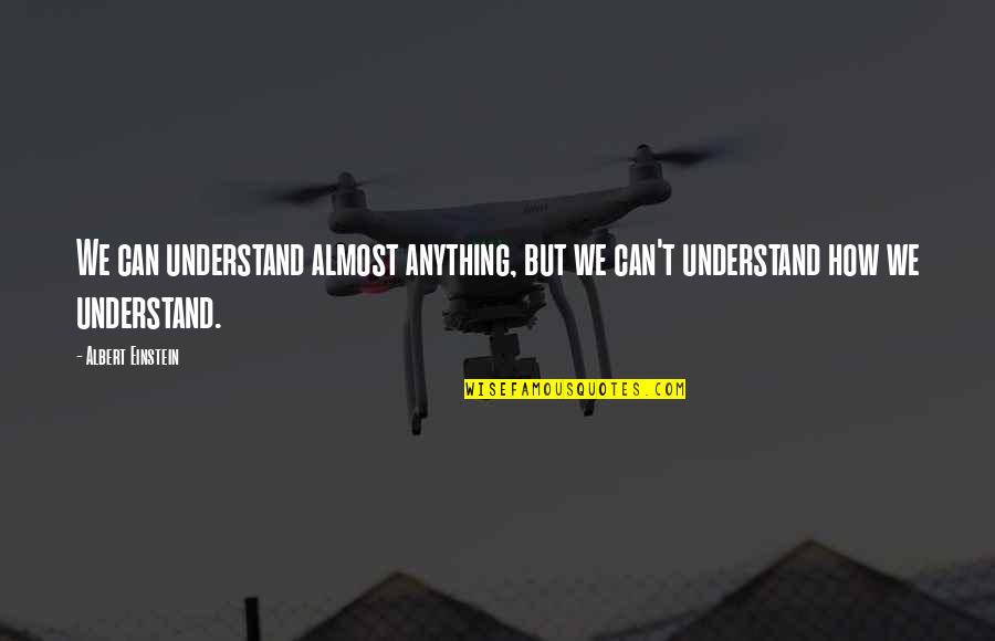Kurkuma Przyprawa Quotes By Albert Einstein: We can understand almost anything, but we can't