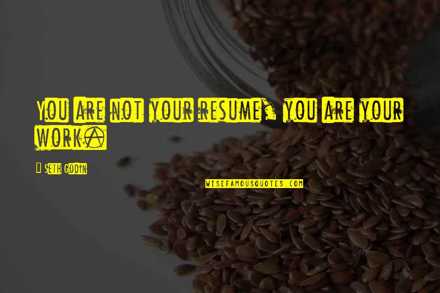 Kurogane Hammer Quotes By Seth Godin: You are not your resume, you are your Kurogane Hammer Quotes By Seth Godin: You are not your resume, you are your