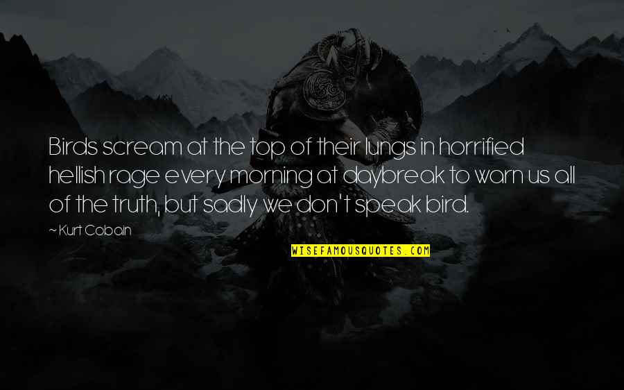 Kurt Cobain Birds Quotes By Kurt Cobain: Birds scream at the top of their lungs Kurt Cobain Birds Quotes By Kurt Cobain: Birds scream at the top of their lungs