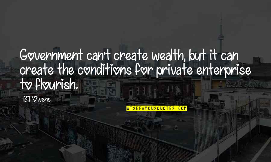 Kurt Schlichter Quotes By Bill Owens: Government can't create wealth, but it can create