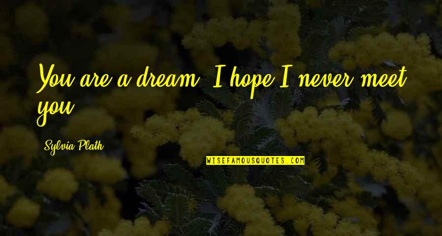 Kurt Schwitters Quotes By Sylvia Plath: You are a dream; I hope I never Kurt Schwitters Quotes By Sylvia Plath: You are a dream; I hope I never