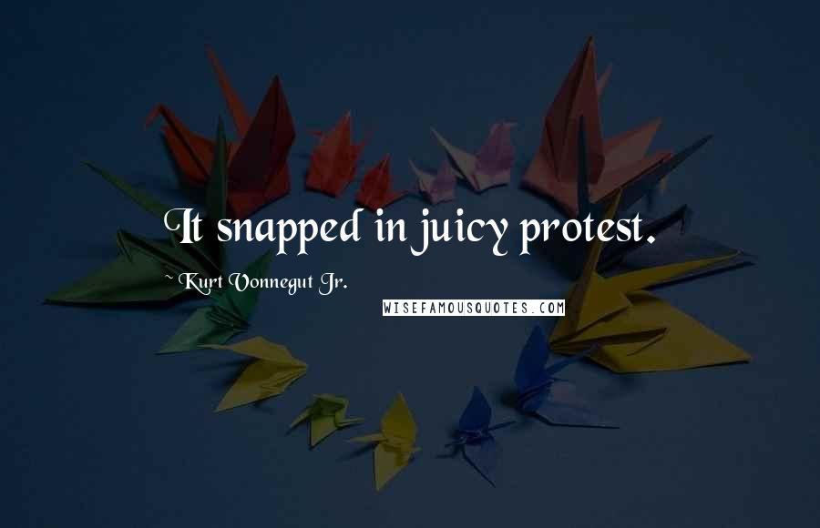 Kurt Vonnegut Jr. quotes: It snapped in juicy protest.