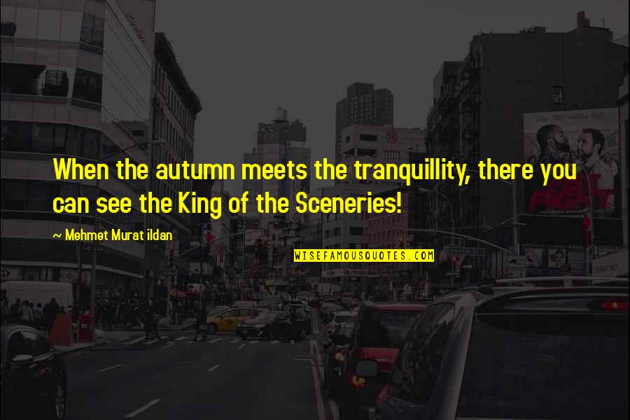 Kurukshetram Quotes By Mehmet Murat Ildan: When the autumn meets the tranquillity, there you Kurukshetram Quotes By Mehmet Murat Ildan: When the autumn meets the tranquillity, there you