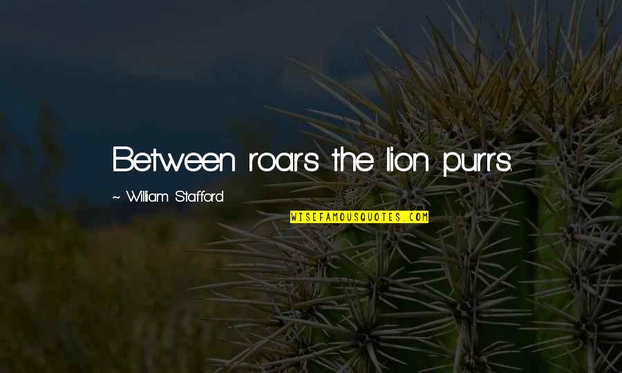 Kurush Quotes By William Stafford: Between roars the lion purrs. Kurush Quotes By William Stafford: Between roars the lion purrs.
