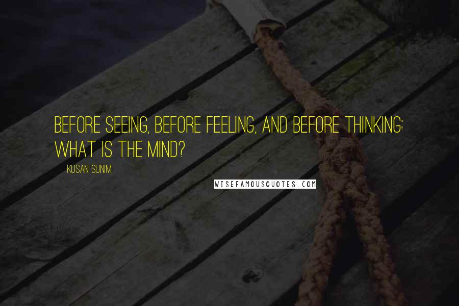 Kusan Sunim quotes: Before seeing, before feeling, and before thinking: What is the mind?