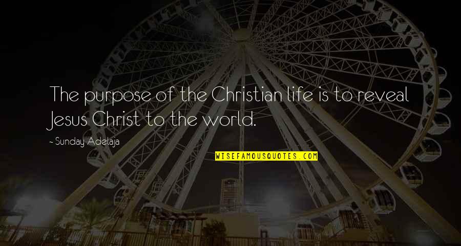 Kush Quotes By Sunday Adelaja: The purpose of the Christian life is to