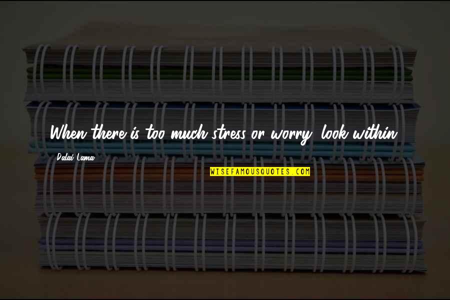 Kushtushme Quotes By Dalai Lama: When there is too much stress or worry, Kushtushme Quotes By Dalai Lama: When there is too much stress or worry,