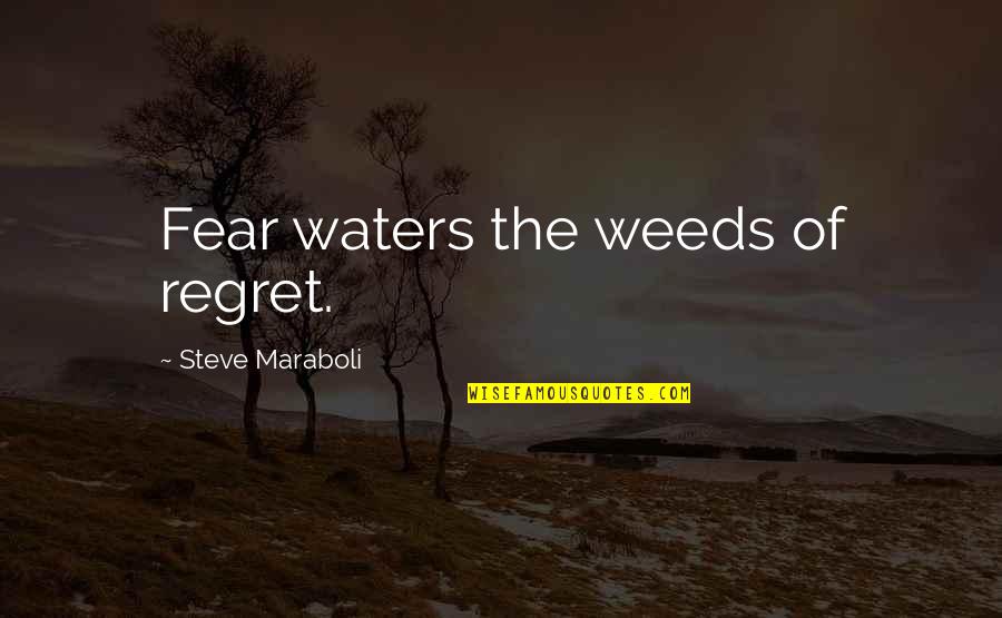 Kussudiardja Quotes By Steve Maraboli: Fear waters the weeds of regret.
