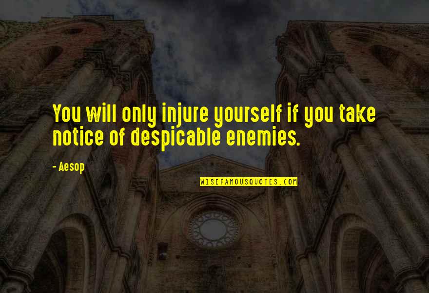 Kuwait Quotes By Aesop: You will only injure yourself if you take