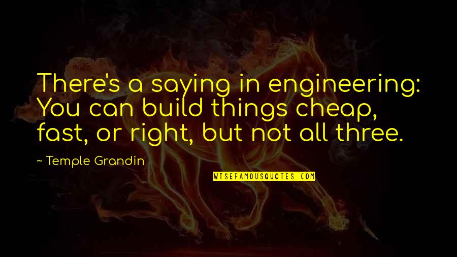 Kuzmic Ognjen Quotes By Temple Grandin: There's a saying in engineering: You can build