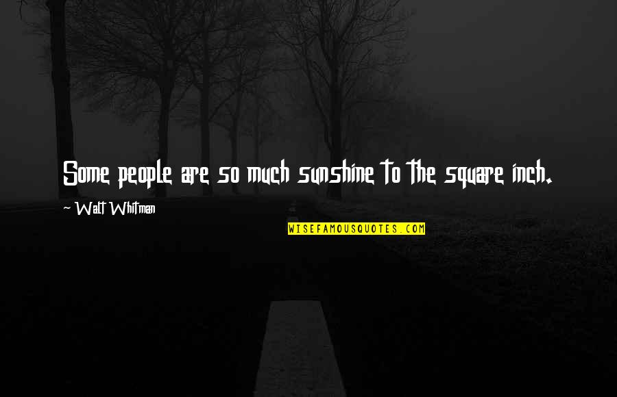 Kuzudaro Quotes By Walt Whitman: Some people are so much sunshine to the Kuzudaro Quotes By Walt Whitman: Some people are so much sunshine to the