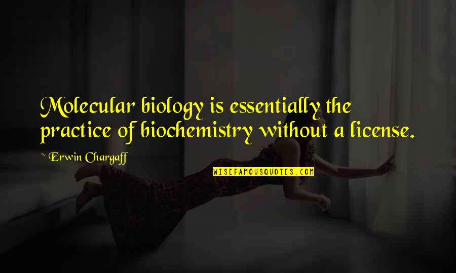 Kvlkocantt Quotes By Erwin Chargaff: Molecular biology is essentially the practice of biochemistry
