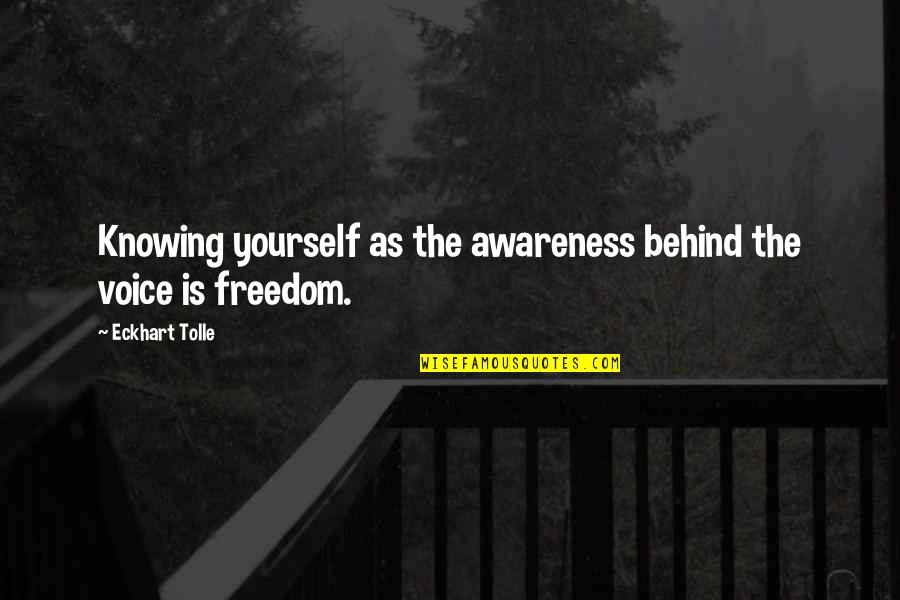 Kvothe Fan Quotes By Eckhart Tolle: Knowing yourself as the awareness behind the voice Kvothe Fan Quotes By Eckhart Tolle: Knowing yourself as the awareness behind the voice