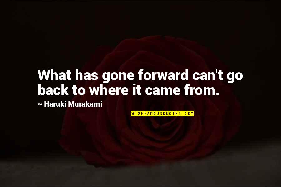 Kwadjo Nkansah Quotes By Haruki Murakami: What has gone forward can't go back to