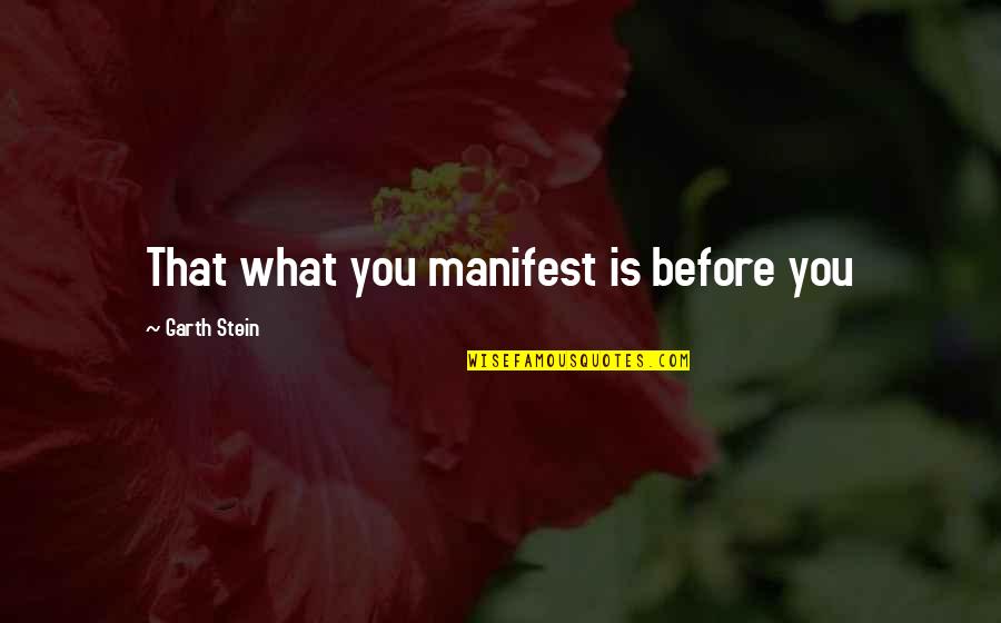 Kwarteng Collins Quotes By Garth Stein: That what you manifest is before you Kwarteng Collins Quotes By Garth Stein: That what you manifest is before you