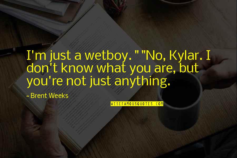 Kylar's Quotes By Brent Weeks: I'm just a wetboy. " "No, Kylar. I