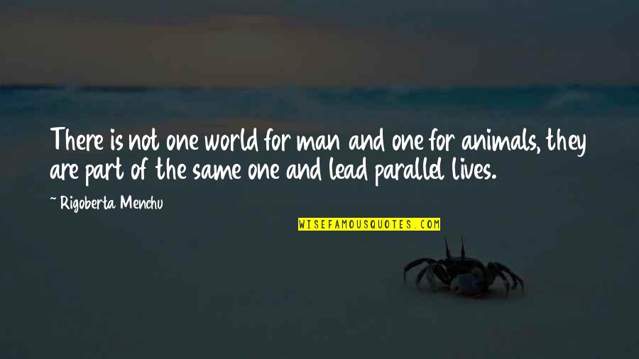 Kyllerylle Quotes By Rigoberta Menchu: There is not one world for man and Kyllerylle Quotes By Rigoberta Menchu: There is not one world for man and