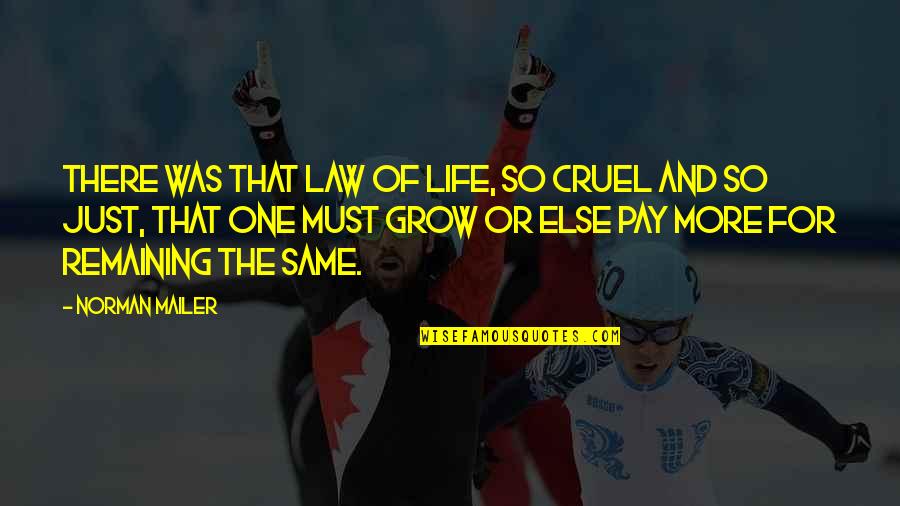 Kylling Quotes By Norman Mailer: There was that law of life, so cruel Kylling Quotes By Norman Mailer: There was that law of life, so cruel