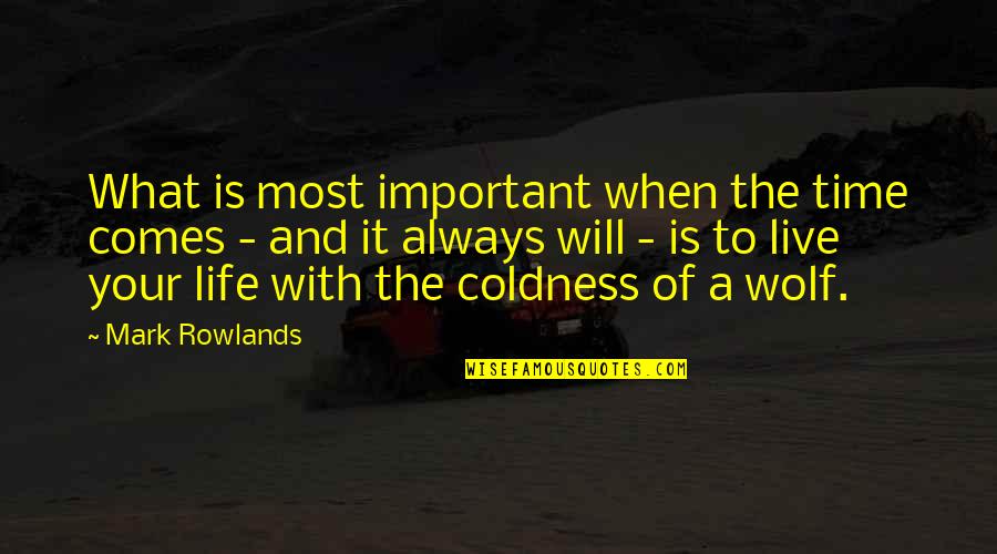 Kynttil Njalka Quotes By Mark Rowlands: What is most important when the time comes Kynttil Njalka Quotes By Mark Rowlands: What is most important when the time comes