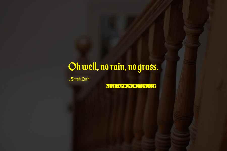 Kyouya Sata Quotes By Sarah Lark: Oh well, no rain, no grass.