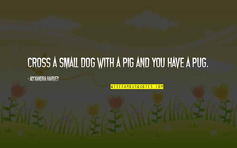 Kyriakodis Quotes By Alyxandra Harvey: Cross a small dog with a pig and Kyriakodis Quotes By Alyxandra Harvey: Cross a small dog with a pig and