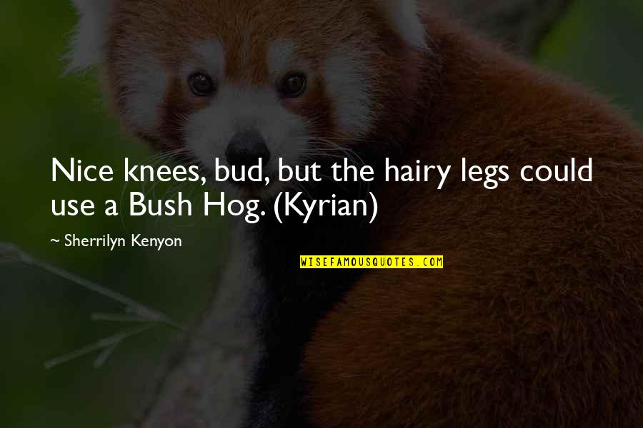 Kyrian Quotes By Sherrilyn Kenyon: Nice knees, bud, but the hairy legs could