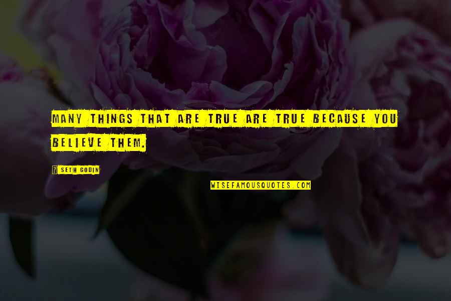 Kyrsha Wineinger Quotes By Seth Godin: Many Things That Are True Are True Because