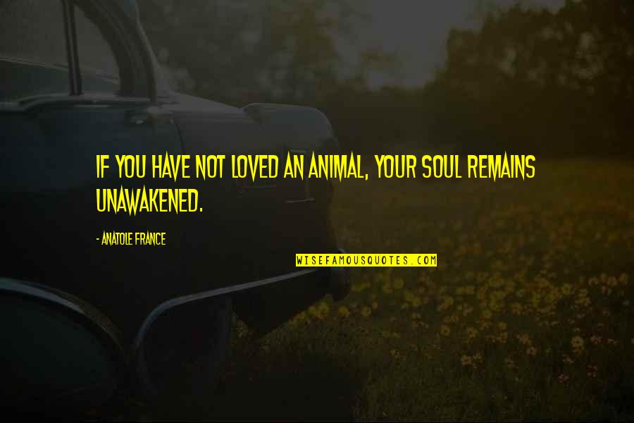 Kyung Min Kim In Korea National University Of Transportation Quotes By Anatole France: If you have not loved an animal, your