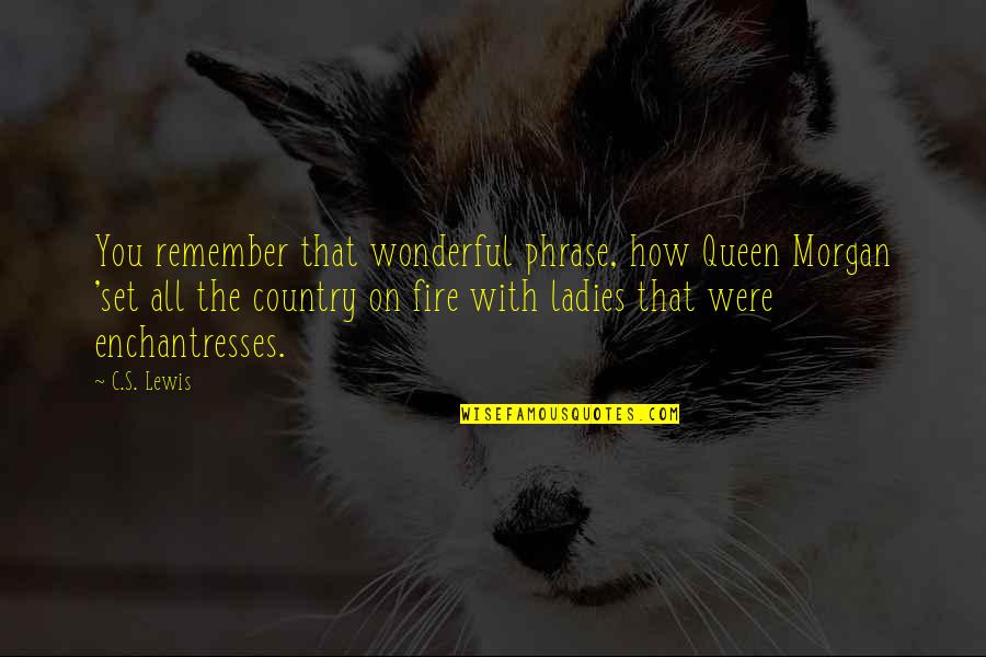 Kztky Quotes By C.S. Lewis: You remember that wonderful phrase, how Queen Morgan
