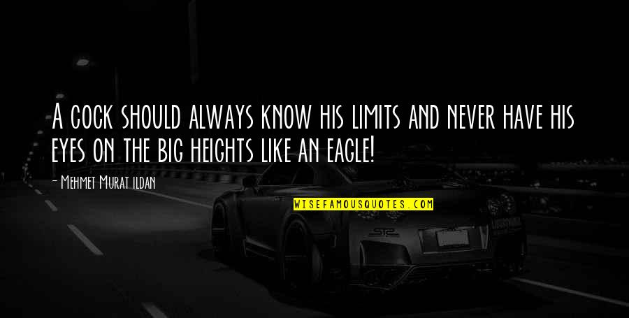 L A Marzulli Quotes By Mehmet Murat Ildan: A cock should always know his limits and