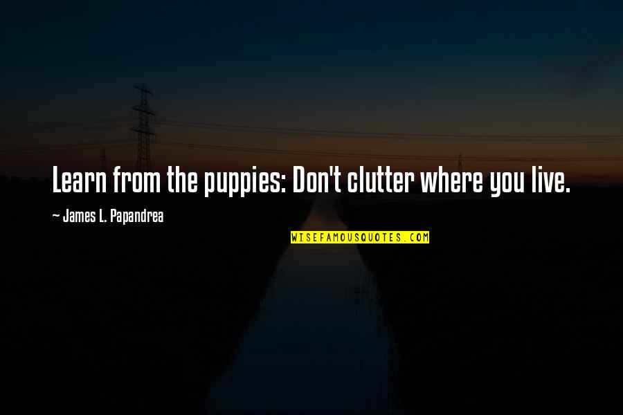 L Don't Care Quotes By James L. Papandrea: Learn from the puppies: Don't clutter where you