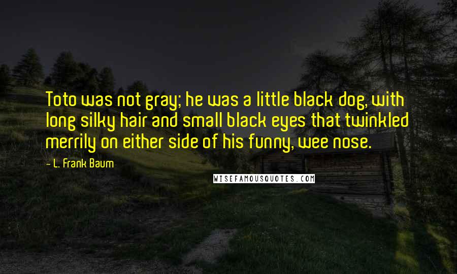 L. Frank Baum quotes: Toto was not gray; he was a little black dog, with long silky hair and small black eyes that twinkled merrily on either side of his funny, wee nose.