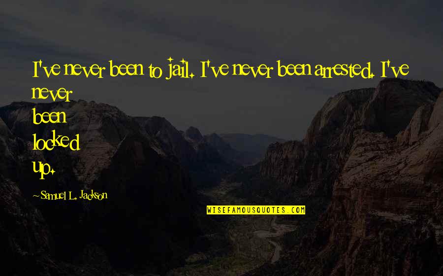 L Jackson Quotes By Samuel L. Jackson: I've never been to jail. I've never been