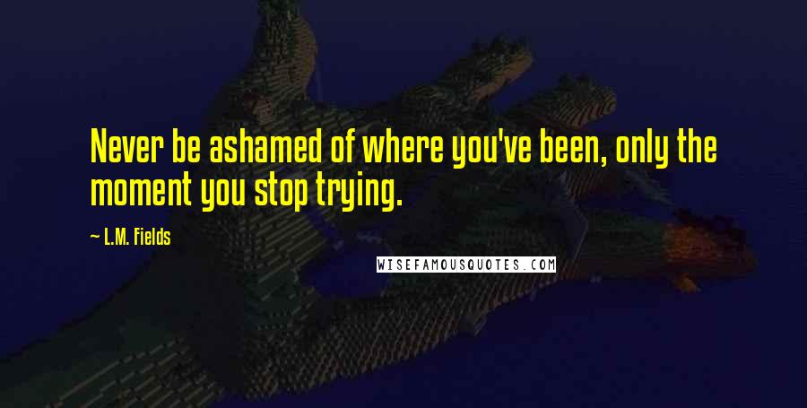 L.M. Fields quotes: Never be ashamed of where you've been, only the moment you stop trying.