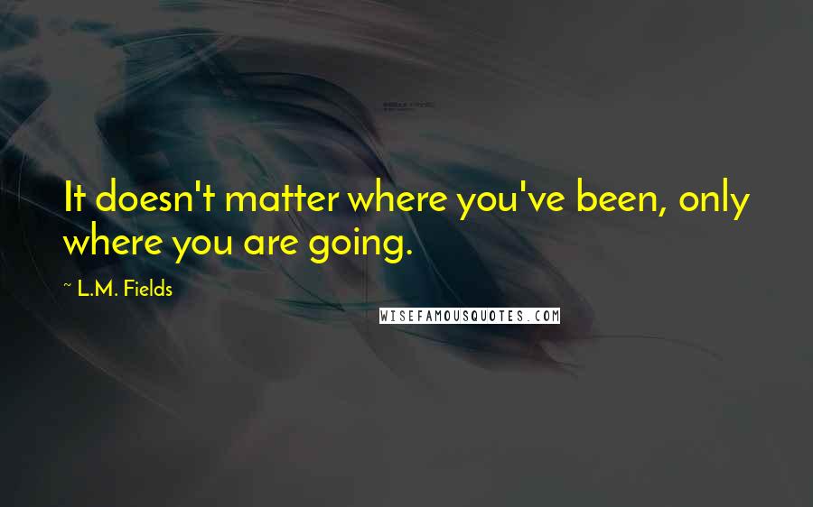 L.M. Fields quotes: It doesn't matter where you've been, only where you are going.