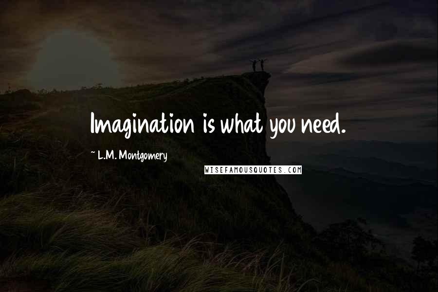 L.M. Montgomery quotes: Imagination is what you need.