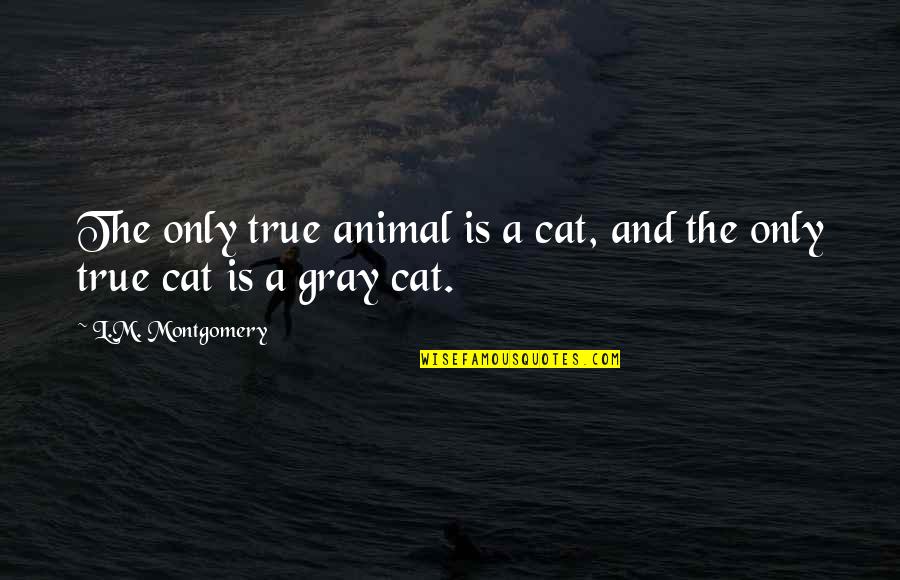 L M Montgomery Quotes By L.M. Montgomery: The only true animal is a cat, and