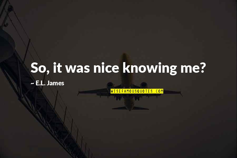 L Nice Quotes By E.L. James: So, it was nice knowing me?
